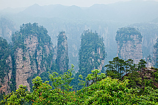 cầu bạch kim