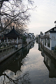 soi cau lo 8785