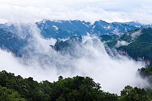 soi cau thong ke
