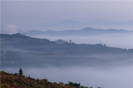 lo kep khung 5 ngay rong bach kim