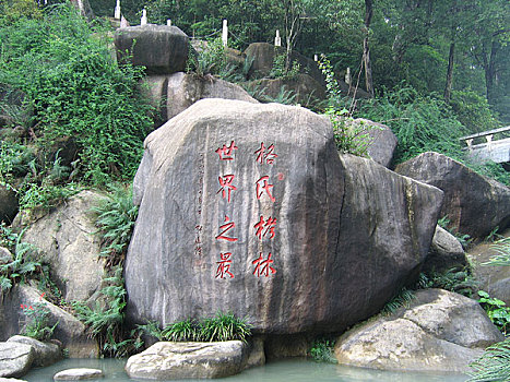 xổ số cần thơ hôm nay