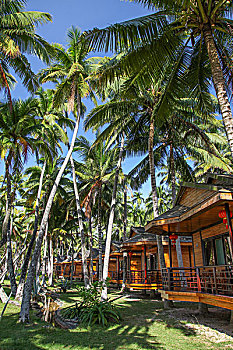 soicau bachthu lo
