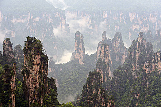 soi cau bach thu mb 24h