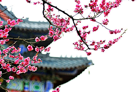 thống kê lô rơi