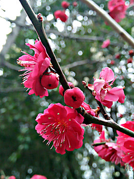 xo so hom nay minh ngoc