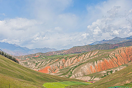 hom nay danh bach thu con gi