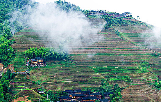 soi cầu bạch thủ lô hôm nay