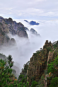 dự đoán số hôm nay