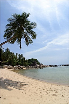 soi cau loto bach thu mb