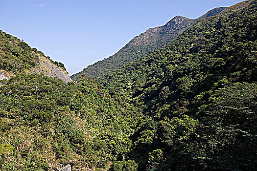 sổ kết qua