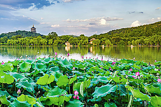 soi đề miền bắc