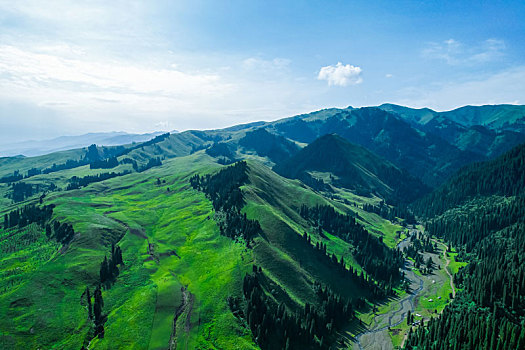du doan atrungroi