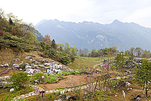 bạch thủ khung 3 ngày miễn phí