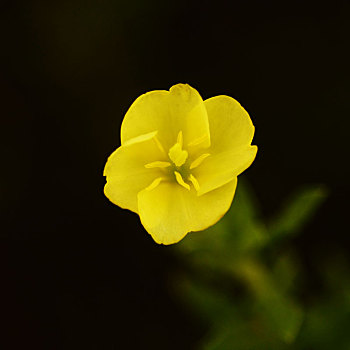trang đánh số đề uy tín