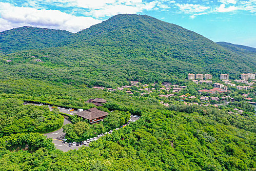 soi cau xsmb rong bạch kim