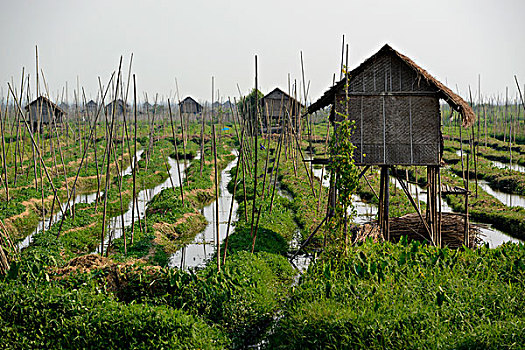 cách chơi số đề miền nam