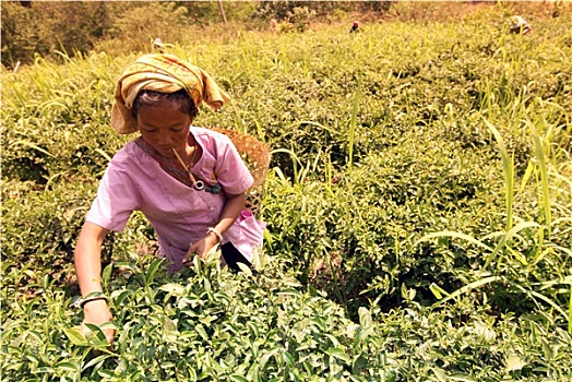 soi cầu xsmb chính xác 100