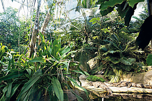 số đề trực tuyến