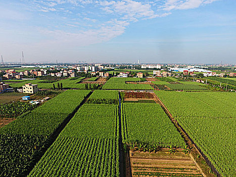 dự đoán kết quả xổ số quảng ngãi