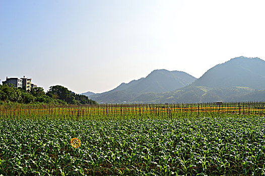 dự đoán kqxs hôm nay