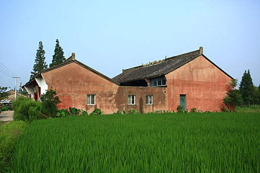 bình luận xổ số