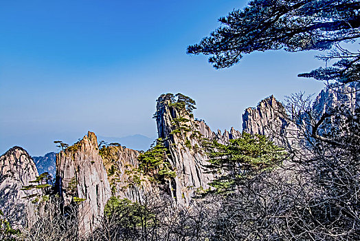 soi cau 7777