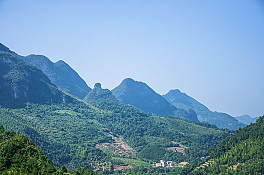 soi cau 247