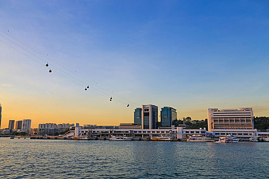 cau bạch thu